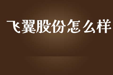 飞翼股份怎么样_https://m.kuaijiepai.net_债券投资_第1张