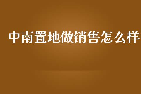 中南置地做销售怎么样_https://m.kuaijiepai.net_货币基金_第1张