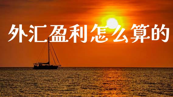 外汇盈利怎么算的_https://m.kuaijiepai.net_货币基金_第1张