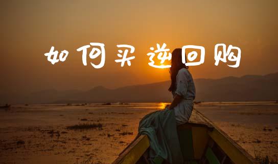 如何买逆回购_https://m.kuaijiepai.net_货币基金_第1张