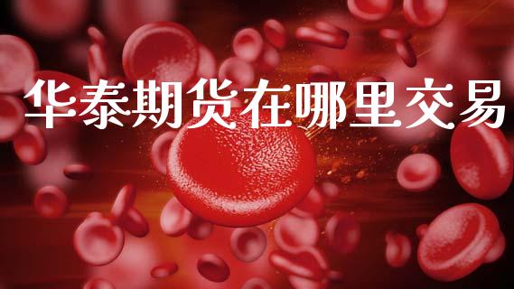 华泰期货在哪里交易_https://m.kuaijiepai.net_股票交易_第1张
