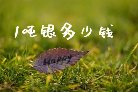 1吨银多少钱_https://m.kuaijiepai.net_股票交易_第1张