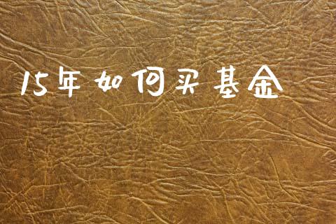 15年如何买基金_https://m.kuaijiepai.net_债券投资_第1张