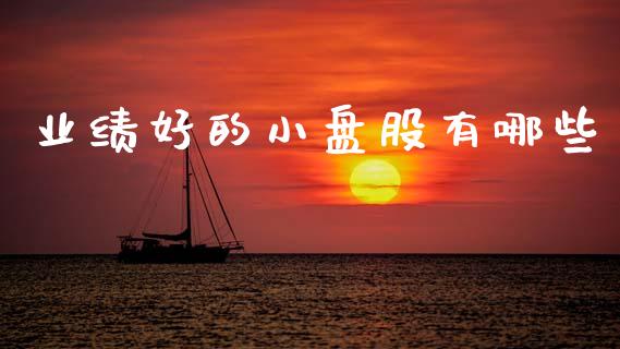 业绩好的小盘股有哪些_https://m.kuaijiepai.net_资产证券化_第1张