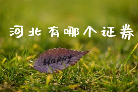 河北有哪个证券_https://m.kuaijiepai.net_股票交易_第1张