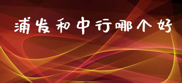 浦发和中行哪个好_https://m.kuaijiepai.net_货币基金_第1张