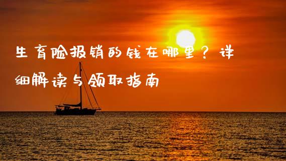 生育险报销的钱在哪里？详细解读与领取指南_https://m.kuaijiepai.net_资产证券化_第1张