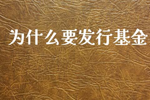 为什么要发行基金_https://m.kuaijiepai.net_货币基金_第1张
