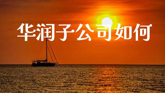 华润子公司如何_https://m.kuaijiepai.net_股票交易_第1张