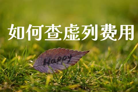如何查虚列费用_https://m.kuaijiepai.net_股票交易_第1张