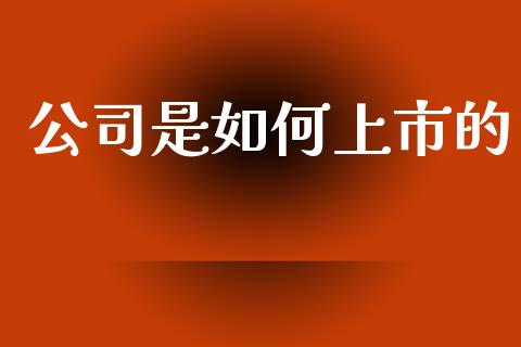 公司是如何上市的_https://m.kuaijiepai.net_债券投资_第1张