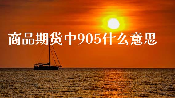 商品期货中905什么意思_https://m.kuaijiepai.net_资产证券化_第1张