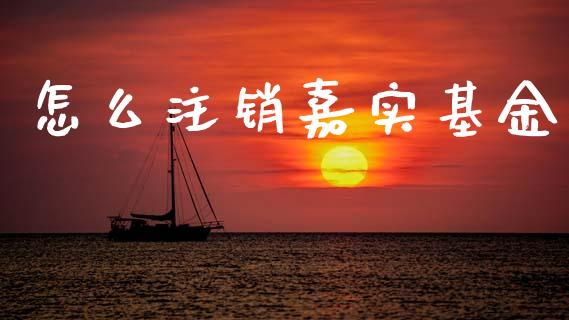 怎么注销嘉实基金_https://m.kuaijiepai.net_货币基金_第1张