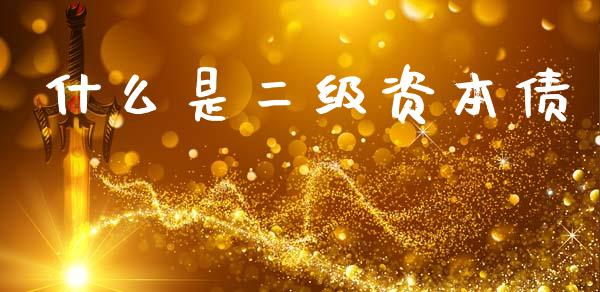 什么是二级资本债_https://m.kuaijiepai.net_股票交易_第1张