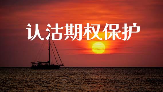 认沽期权保护_https://m.kuaijiepai.net_货币基金_第1张