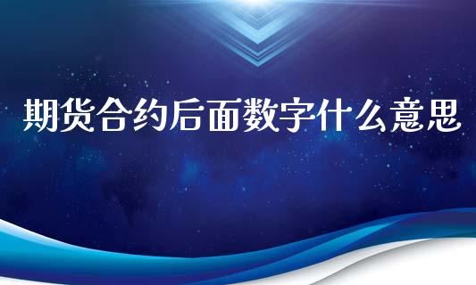 期货合约后面数字什么意思_https://m.kuaijiepai.net_资产证券化_第1张