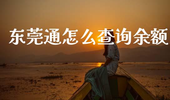 东莞通怎么查询余额_https://m.kuaijiepai.net_股票交易_第1张