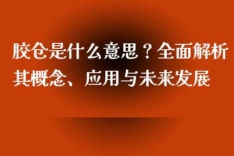 胶仓是什么意思？全面解析其概念、应用与未来发展_https://m.kuaijiepai.net_资产证券化_第1张