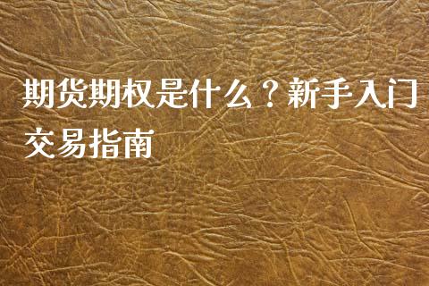 期货期权是什么？新手入门交易指南_https://m.kuaijiepai.net_资产证券化_第1张