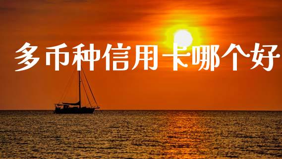 多币种信用卡哪个好_https://m.kuaijiepai.net_货币基金_第1张