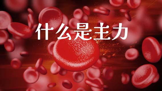 什么是主力_https://m.kuaijiepai.net_资产证券化_第1张