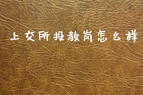 上交所投教岗怎么样_https://m.kuaijiepai.net_股票交易_第1张