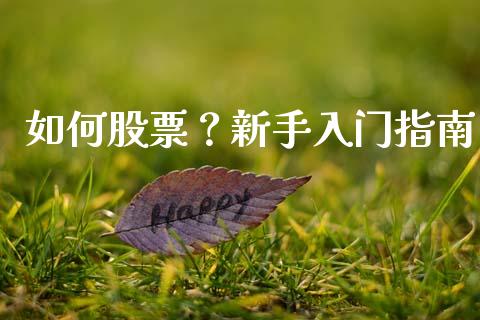 如何股票？新手入门指南_https://m.kuaijiepai.net_股票交易_第1张
