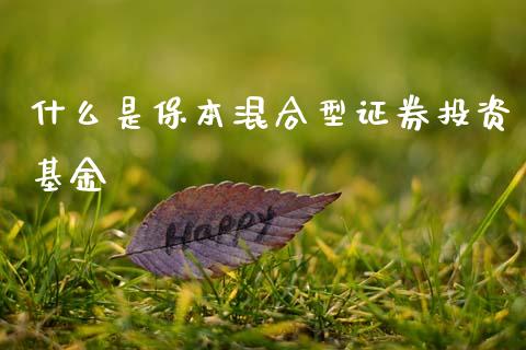 什么是保本混合型证券投资基金_https://m.kuaijiepai.net_股票交易_第1张