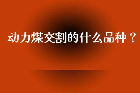 动力煤交割的什么品种？_https://m.kuaijiepai.net_债券投资_第1张