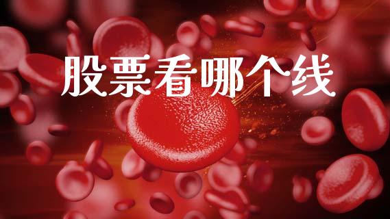 股票看哪个线_https://m.kuaijiepai.net_货币基金_第1张