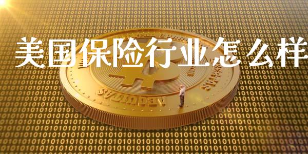 美国保险行业怎么样_https://m.kuaijiepai.net_资产证券化_第1张