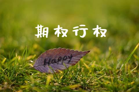 期权行权_https://m.kuaijiepai.net_债券投资_第1张