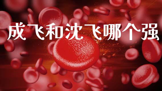 成飞和沈飞哪个强_https://m.kuaijiepai.net_货币基金_第1张