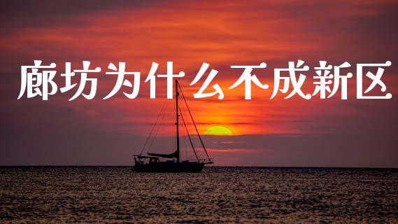 廊坊为什么不成新区_https://m.kuaijiepai.net_货币基金_第1张