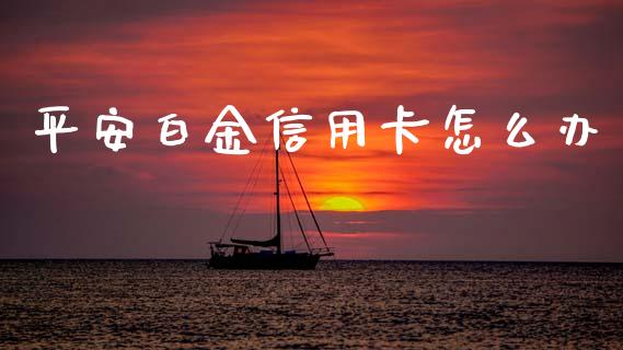 平安白金信用卡怎么办_https://m.kuaijiepai.net_货币基金_第1张