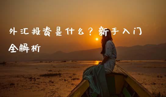 外汇投资是什么?新手入门全解析_股票交易_第1张_货币基金_债券投资_股票交易_资产证券化 外汇投资是什么?新手入门全解析_https://m.kuaijiepai.net_股票交易_第1张