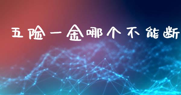五险一金哪个不能断_https://m.kuaijiepai.net_货币基金_第1张