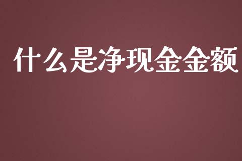 什么是净现金金额_https://m.kuaijiepai.net_货币基金_第1张