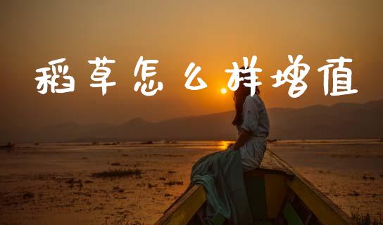 稻草怎么样增值_https://m.kuaijiepai.net_债券投资_第1张
