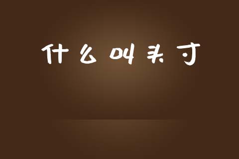 什么叫头寸_https://m.kuaijiepai.net_债券投资_第1张