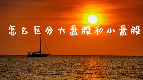 怎么区分大盘股和小盘股_https://m.kuaijiepai.net_资产证券化_第1张