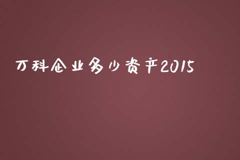 万科企业多少资产2015_https://m.kuaijiepai.net_债券投资_第1张