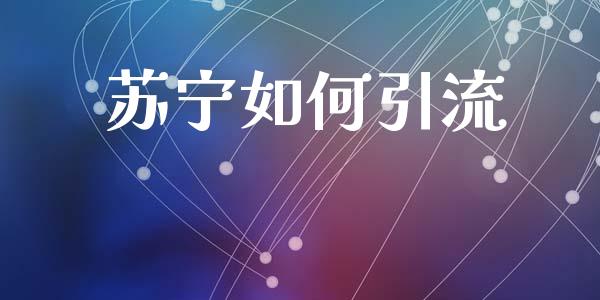 苏宁如何引流_https://m.kuaijiepai.net_资产证券化_第1张