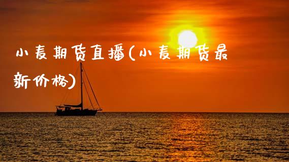 小麦期货直播(小麦期货最新价格)_https://m.kuaijiepai.net_货币基金_第1张