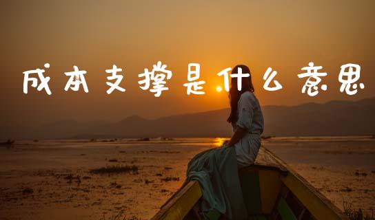 成本支撑是什么意思_https://m.kuaijiepai.net_资产证券化_第1张