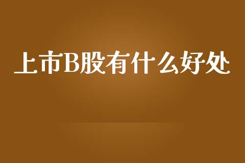 上市B股有什么好处_https://m.kuaijiepai.net_股票交易_第1张