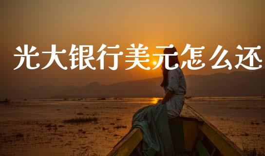 光大银行美元怎么还_https://m.kuaijiepai.net_债券投资_第1张