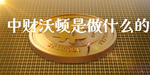 中财沃顿是做什么的_https://m.kuaijiepai.net_股票交易_第1张