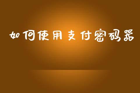 如何使用支付密码器_https://m.kuaijiepai.net_债券投资_第1张
