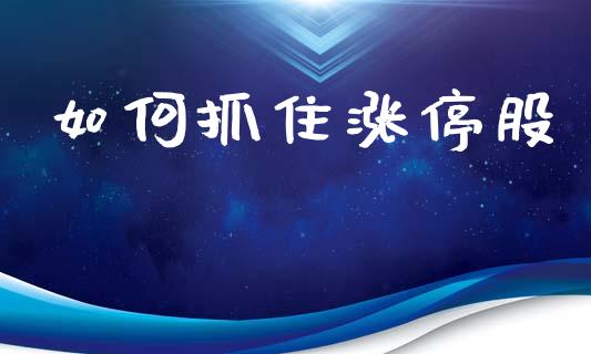 如何抓住涨停股_https://m.kuaijiepai.net_资产证券化_第1张